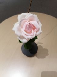 -FineYoga梵音瑜伽·普拉提