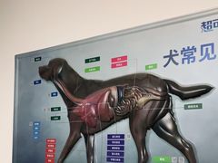 -宠颐生宠物医院外科·内科·皮肤科·影像科(石龙店)