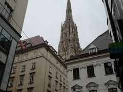 景点-斯蒂芬主教座堂(Stephansdom)