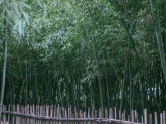 -新虹桥中心花园
