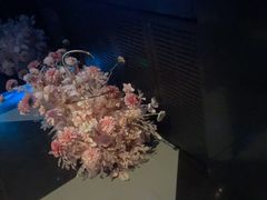 -黑桃K生日订制KTV