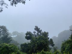 -海口火山口国家地质公园