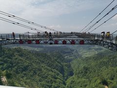 -梦幻奥陶纪景区