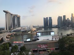 -新加坡丽思卡尔顿美年酒店