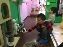 -李小姐の猫咖啡馆(五角场店)
