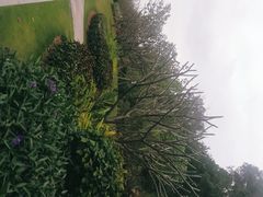 -清湖文化公园