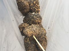 -叶氏麻糍(鼓浪屿店)