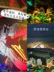 -恐龙探索乐园(磁器口店)