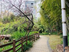 -苏州河梦清园环保主题公园