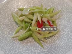 -丁老爷子苏香圆