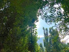 -幽岚山·童话森林