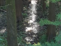 -青山湖景区