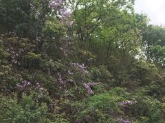 -宝界山林公园