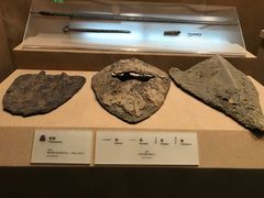 -烟台市博物馆