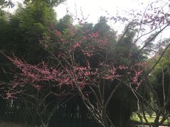 -堤角公园