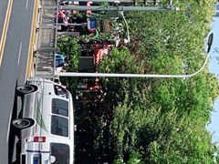 -上海大自然野生昆虫馆(东方明珠·爬宠昆虫探索中心)
