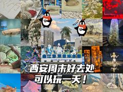 -西安曲江海洋极地公园