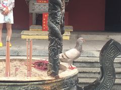 -博鳌禅寺