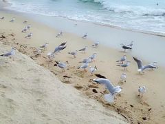 -海云台海滩