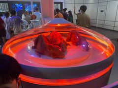 -侏罗纪世界电影特展(广州站)