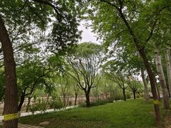 -元大都城垣遗址公园