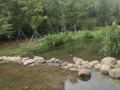 -白水寺森林公园