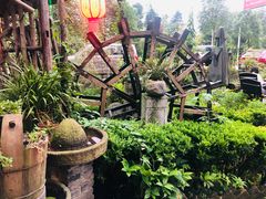 -青城甲(青城山店)