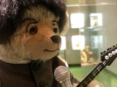 -成都泰迪熊博物馆