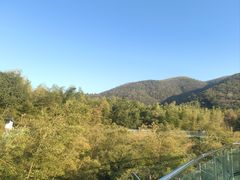 -陶祖圣境风景区