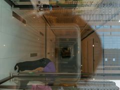 android_upload_pic-远洋未来广场(育慧北路店)