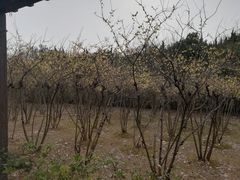 -白马涧龙池景区