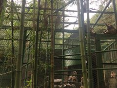 -藏龙百瀑风景区