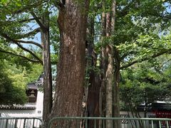 -西湖风景区十里琅珰-五云山