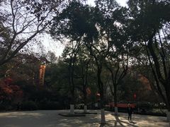 -杭州黄龙洞