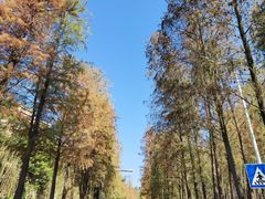 -鹿福农庄(南沙天后宫店)