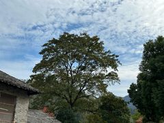 -羊楼洞