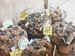 -大象粑粑造纸公园