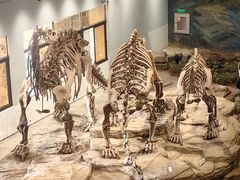 -自贡恐龙博物馆