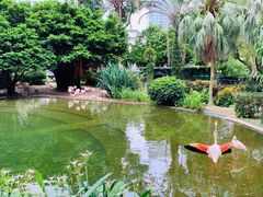 -九龙公园