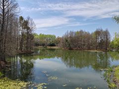 -梁鸿国家湿地公园