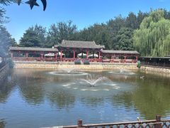 -尚庄度假村·庭台树下·户外烧烤·团建CS·轰趴营地(上庄水库店)