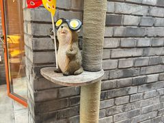 -BE YOLO必有乐&小红帽三明治