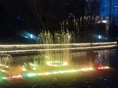 -武汉两江游览·夜游长江(汉口粤汉码头)