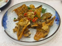 -寻味顺德·南记酒家·传统顺德菜·鱼生(广源路店)