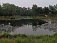 -东郊湿地公园