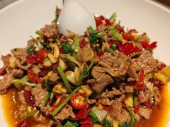 -胖老汉新疆特色椒麻鸡(南门店)