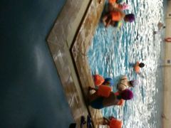 -齐汇维景大酒店游泳馆(山东政协大厦齐汇维景)