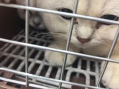 -联合动物医院(光谷诊疗中心)