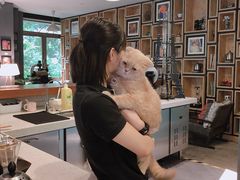 -咖法森林·咖啡  酒吧(天河店)