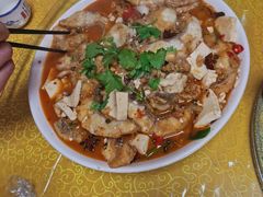 -煲来饱去冷水鱼